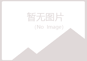 立山区情场采矿有限公司